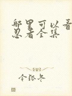 哪里可以看火影忍者全集