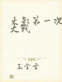 火影第一次忍界大战