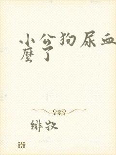 小公狗尿血是怎么了