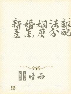 新婚姻法离婚财产怎么分配2025