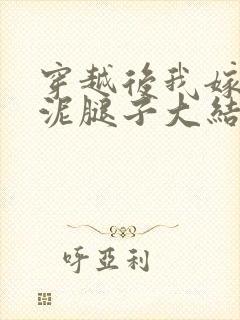 穿越后我嫁给了泥腿子大结局