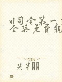 xl司令第一季全集免费观看动漫在线播放