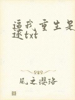 逼我重生是吧程逐txt