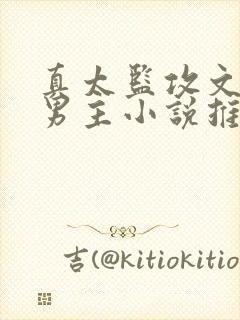 真太监攻文,双男主小说推荐