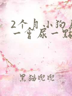 2个月小狗尿频一会尿一点