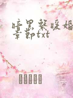 暗黑系暖婚最新章节txt