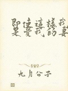 即使这样我也还是爱我的妻子动漫