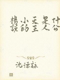 杨小天是什么小说的主人公名字