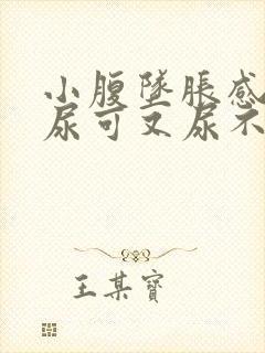 小腹坠胀感觉想尿可又尿不出来