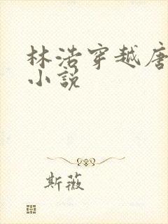 林浩穿越唐朝的小说