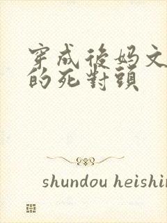 穿成后妈文女主的死对头