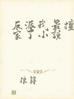 反派我最擅长偷家了小说