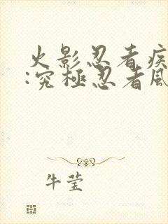 火影忍者疾风传:究极忍者风暴3