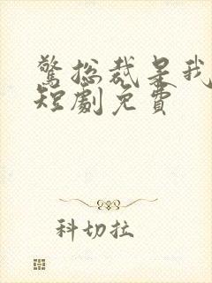 惊总裁是我老公短剧免费