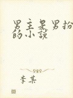 男主是男扮女装的小说