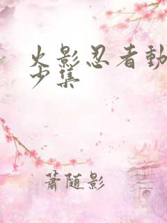 火影忍者动画多少集