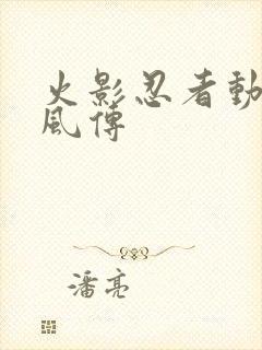 火影忍者动画疾风传