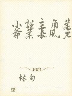 小说主角叶凡爷爷叶长风免费阅读