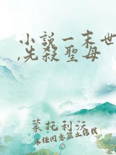 小说一末世降临,先杀圣母