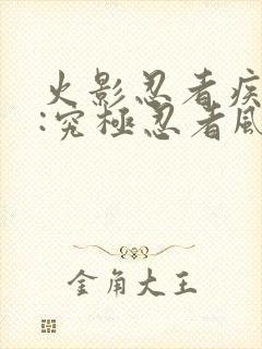 火影忍者疾风传:究极忍者风暴