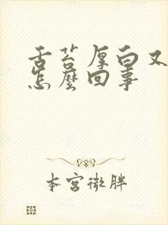 舌苔厚白又黄是怎么回事