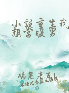 小说重生我真没想当暖男