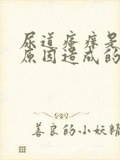 尿道瘙痒是什么原因造成的