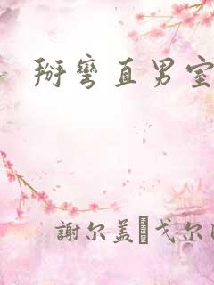 掰弯直男室友》