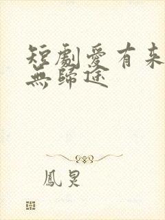 短剧爱有来路却无归途