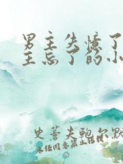 男主失忆了把女主忘了的小说