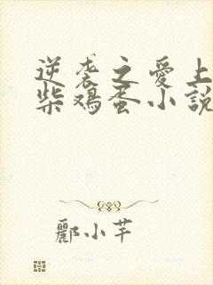 逆袭之爱上情敌柴鸡蛋小说原文免费阅读