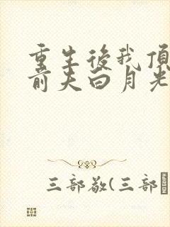 重生后我顶替了前夫白月光免费看