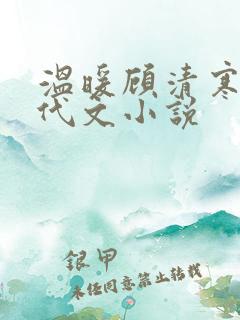 温暖顾清寒的年代文小说