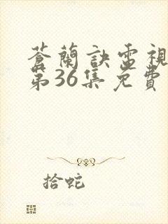 苍兰诀电视剧,第36集免费观看