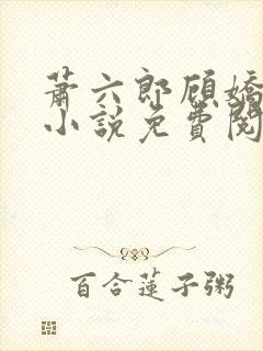 萧六郎顾娇穿越小说免费阅读