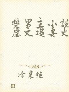 双男主小说推荐虐文追妻火葬场