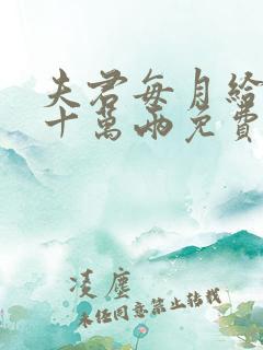 夫君每月给我二十万两免费阅读全文