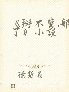 《掰不弯,那算了》小说