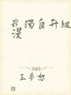 我独自升级 动漫