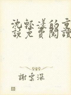 沈轻漾的重生小说免费阅读全文