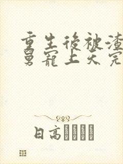 重生后被渣男舅舅宠上天完整版