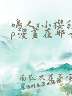 鸣人x小樱的cp漫画在哪看