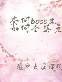 奈何boss又如何全集免费观看