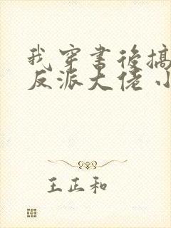 我穿书后搞到了反派大佬 小说