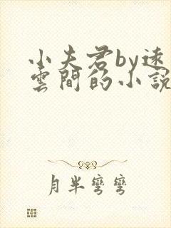 小夫君by远上云间的小说免费阅读最新