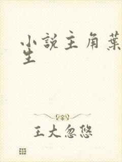 小说主角叶凡重生