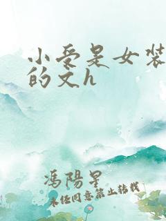 小受是女装大佬的文h