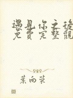 遇见你之后短剧免费完整观看高清