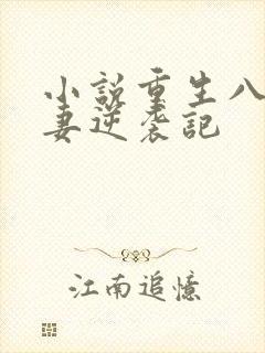 小说重生八零肥妻逆袭记