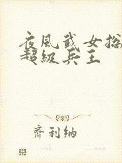 夜风武女总裁的超级兵王